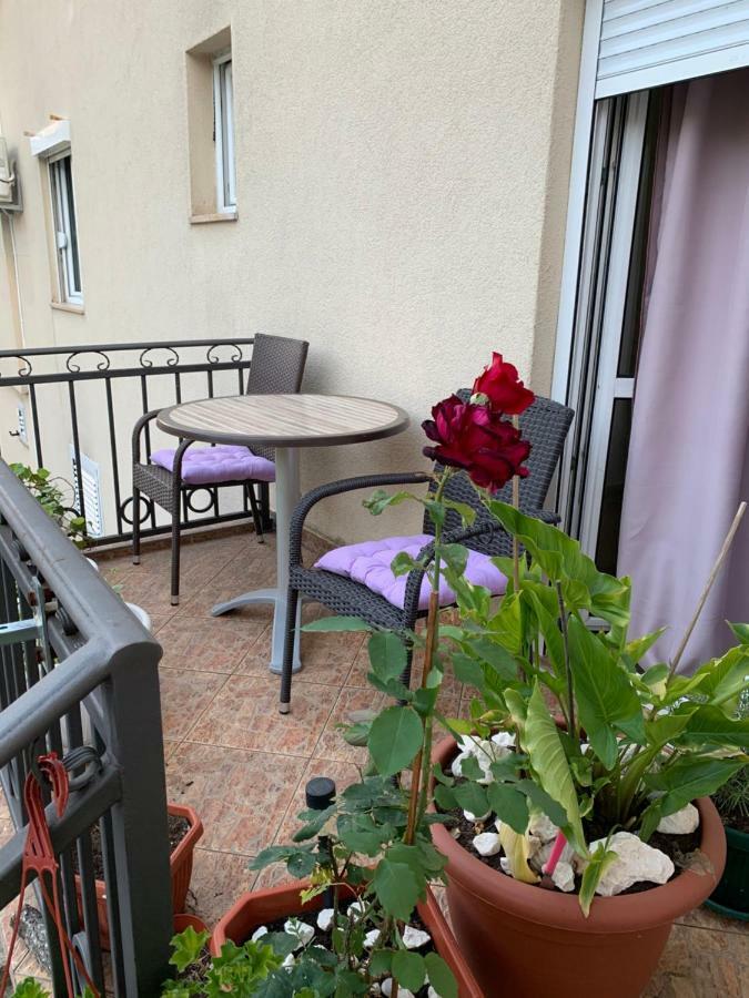 Apartmani Krgusic Tivat Eksteriør bilde